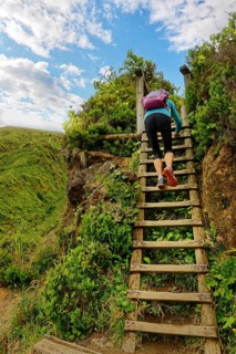 Person climbing up a wooden staircase surrounded by green vegetation, clear sky and clouds, crater