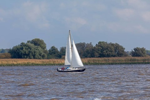 Sailing boat near Glückstadt, Elbe, Schleswig-Holstein, Germany, Europe