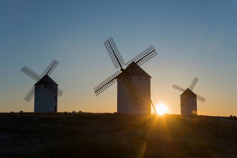 Three windmills in the sunrise light, dominating the gentle peaceful landscape, Campo de Criptana,