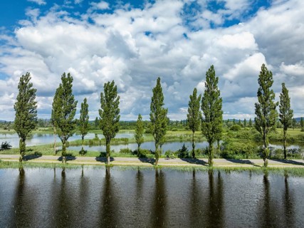Aerial view of the Mooser Damm with the poplar avenue on the western part of Lake Constance. The