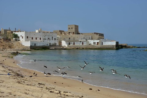 Townscape, Mirbat, Dhofar Region, Orient, Oman, Asia