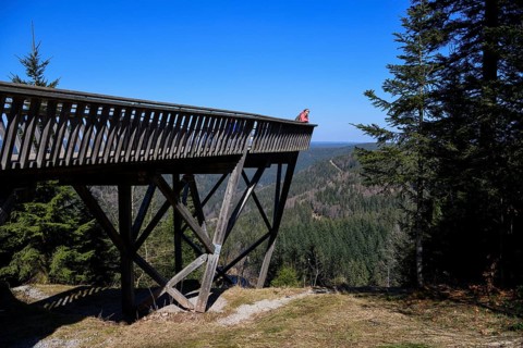Viewing platform at Ellbachsee, near Baiersbronn, Freudenstadt district, Black Forest,