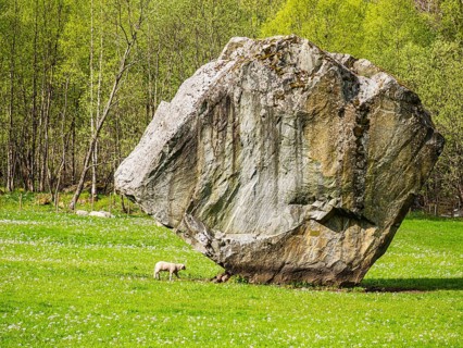 Single large rock Oddmundsteinen on farmland, greasing sheep, spring, south of Odda at the