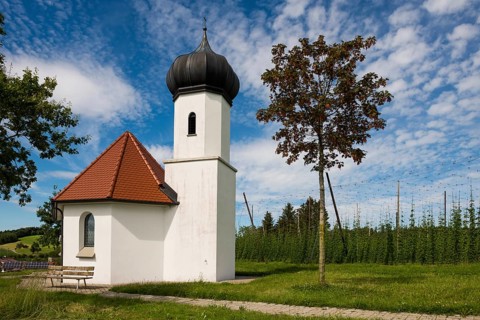 Chapel and hop gardens, hop growing, hop plantation, St George's Chapel, St George's Chapel,