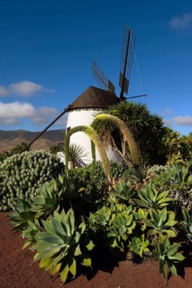 Fuerteventura, Canary Islands, Windmill in Antigua, Museum, Molino de Antigua, Spain, Europe