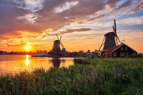 Netherlands rural scene, - windmills at famous tourist site Zaanse Schans in Holland on sunset with