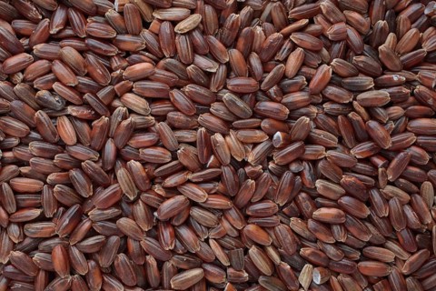 Red rice, Camargue rice from France, rice variety with a red bran layer, usually offered as brown