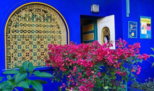 Morocco, Jardin Majorelle Botanical Garden in Marrakech, Africa