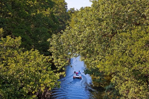 Couple in a pedal boat on the river Lahn, Marburg, Hesse, Germany, Europe