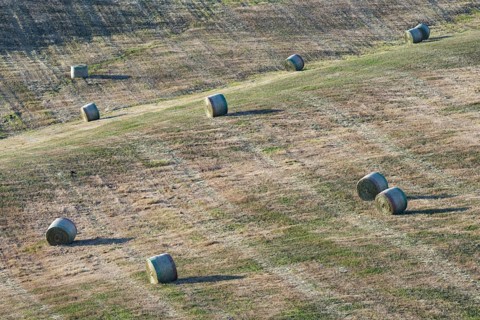 Harvested wheat field with straw bales, landscape around Pienza, Val dOrcia, Orcia Valley, UNESCO