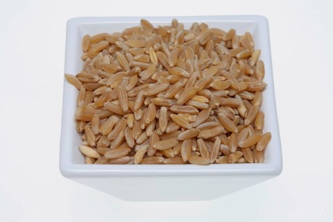 Khorasan wheat (Triticum turgidum × polonicum), also called kamut, is an old variety of spring