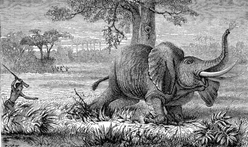 Local man hunting elephants, poacher, 1869, South Africa, Historic, digitally restored reproduction