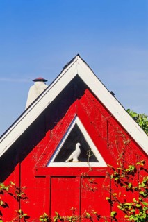 Red house gable with a white dove in a triangle window, Sweden, Europe