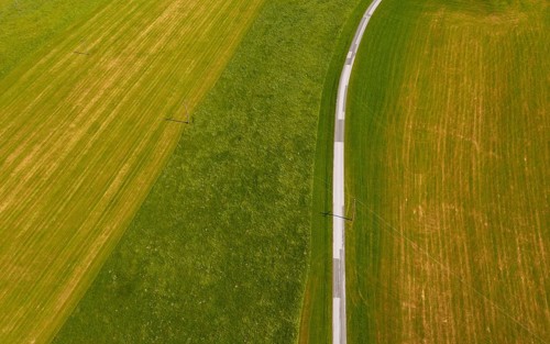 Drone shot, road leads through mown meadows, from above, structure, agriculture, agricultural