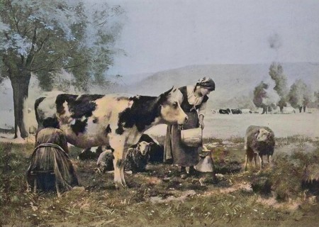 Agriculture, Woman milking a cow, Milk, 1880, Austria, Historic, digitally restored reproduction of