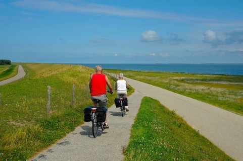 Cyclist on the dike, Texel Island, North Sea, North Holland, Netherlands