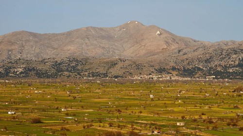 Fields, green meadows, Dikte massif, spring, Lassithi plateau, Lassithi, East Crete, island of