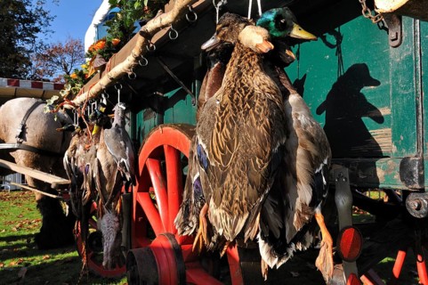 Carriage with game, mallard, wood pigeon, pheasant, hare, during the commemoration of Saint Hubert,
