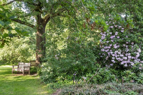 Bench in the park, Rhododendron (Rhododendron Homer), Royal Botanic Gardens, Kew, London, England,