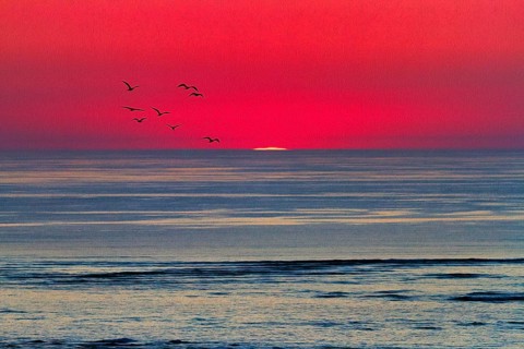 Refraction and reflection at sunset on the horizon, flock of birds, haze, Bassin d'Arcachon, Bay of