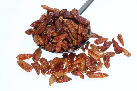 Chilli of the species Pequin or sweet pepper (Capsicum) annuum Pequin, one of the original forms of