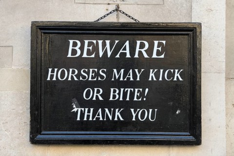 Shield at the Horse Guards, Soldiers of the Household Cavalry Mounted Regiment, White Hall,