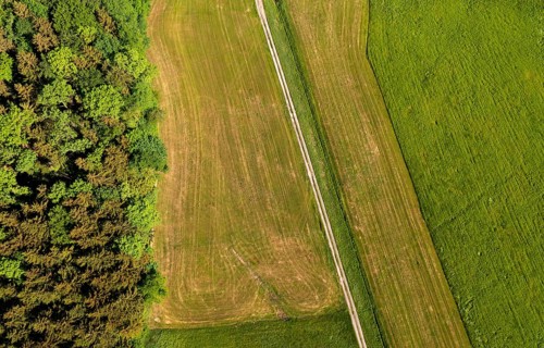 Drone shot, meadow path leads through mown meadows, from above, structure, agriculture,