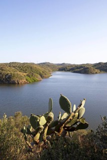 S'Albufera des Grau nature Park, Menorca