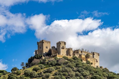 The castle Castillo de Almodóvar del Río, Andalusia, Spain, Europe