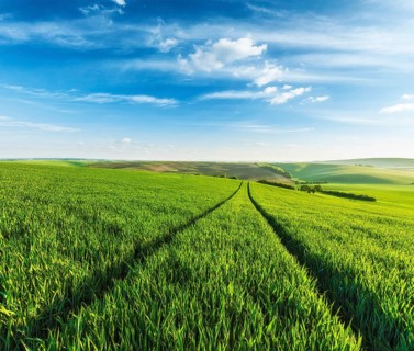 Rolling summer landscape with green grass field under blue sky