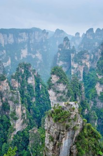 Famous tourist attraction of China, Zhangjiajie stone pillars cliff mountains in fog clouds at