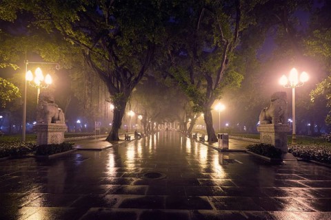 Guangzhou People's Park with mist fog at night. Guangzhou, China, Asia