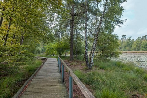 Schwattet Gatt nature conservation and FFH area, remnant of raised bog, boardwalk, still water
