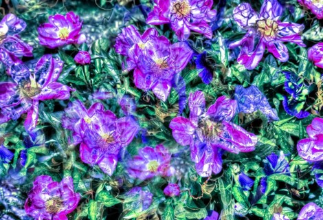 Oil painting, bright flowers, purple flowers creative, plants, peonies (Paeonia), peonies, artistic