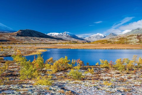 Autumn tundra with mountains and lake, Rondane National Park, Norway, Europe