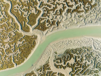 Network of channels and streams at low tide, in the marshland of the Bahía de Cádiz, aerial view,