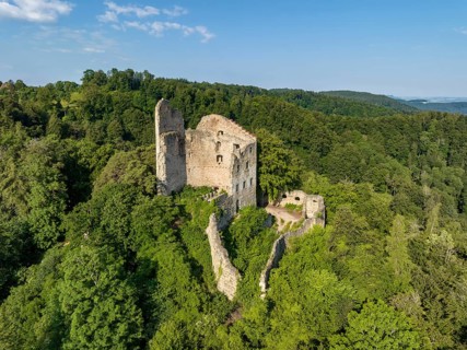 Aerial view of the Altbodman Ruin, Bodman-Ludwigshafen, Constance County, Baden-Württemberg,