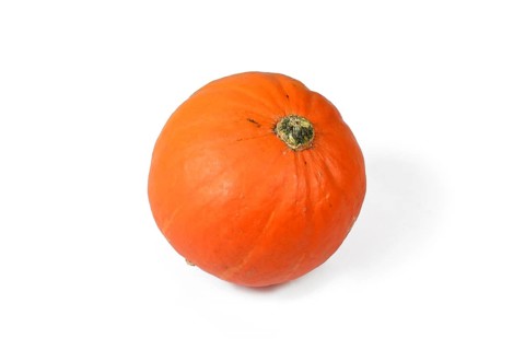 Small orange Sugar Pie pumpkin on white background
