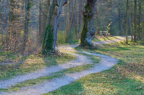 Public park with path and bench in spring, Amorbach, Odenwald, Bavaria, Germany, Europe