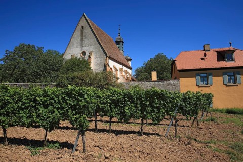 Maria im Weingarten Chapel, Volkach, Kitzingen District, Lower Franconia, Bavaria, Germany, Europe