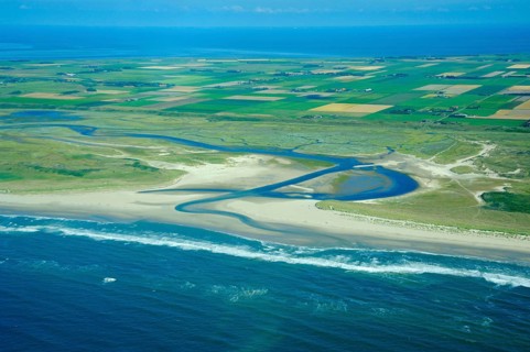 Pond, De Slufter nature reserve, Texel island, North Holland, Netherlands