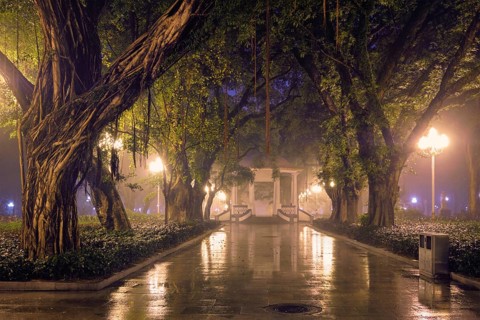 Guangzhou People's Park with mist fog at night. Guangzhou, China, Asia