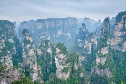 Famous tourist attraction of China, Zhangjiajie stone pillars cliff mountains in fog clouds at