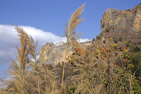 Eroded sandstone rock formations and tall grass in the Isalo National Park near Ranohira, Ihosy,