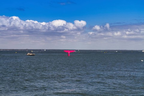 Pink buoy, sculpture of a fluke and boats in the Bay of Arcachon, Gironde, Aquitaine, France,
