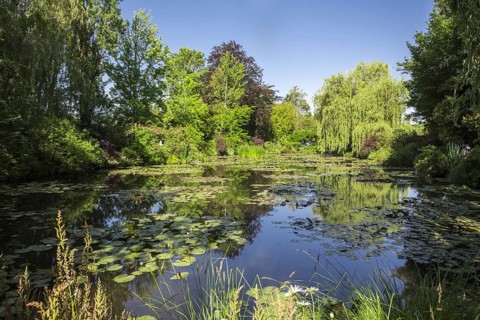 The Water Lily Pond in summer, garden at the home of Impressionist painter Claude Monet in Giverny,