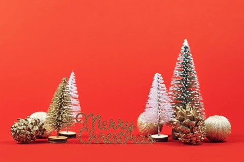 Christmas arrangement with white and green miniature Christmas trees, golden fir cones and tree