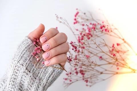 Woman hands with beautiful nude manicure holding delicate pink Gypsophila or baby's breath flowers.