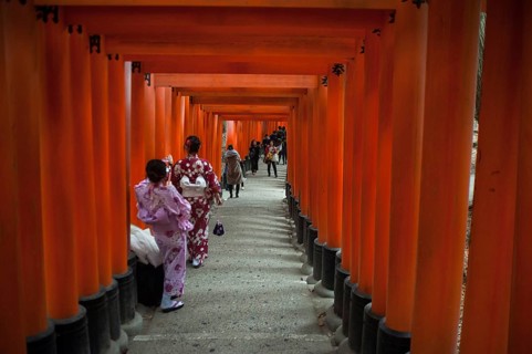 24.12.2017, Kyoto, Japan, Asia, An interior view of one of the torii pathways leading to Fushimi