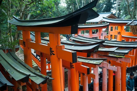 24.12.2017, Kyoto, Japan, Asia, Scarlet red wooden portals line one of the torii pathways leading